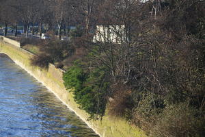 bush, dusk, elevated, England, London, park, river, The United Kingdom, tree, vegetation, winter