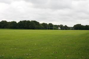 day, England, eye level view, field, grass, London, natural light, The United Kingdom, vegetation