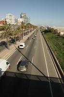 above, autumn, Barcelona, bright, bush, car, Cataluña, day, elevated, palm, Phoenix canariensis, shrub, Spain, street, sunny, van