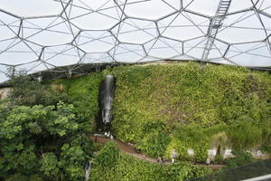 autumn, bush, day, diffuse, diffused light, Eden Project, elevated, England, garden, hanging, plant, The United Kingdom, waterfall