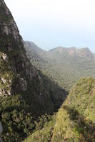 day, elevated, forest, Kedah, Malaysia, mountain, sunny, vegetation