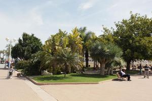 Alicante, back, day, dog, eye level view, girl, man, natural light, palm, park, sitting, Spain, sunny, tree, Valenciana, vegetation, walking