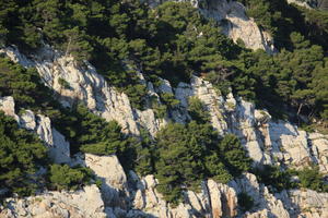 Croatia, day, eye level view, Makarska, mountain, rockery, Splitsko-Dalmatinska, summer, tree, vegetation