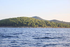 coastline, Croatia, dusk, eye level view, seascape, woodland, Zadar, Zadarska