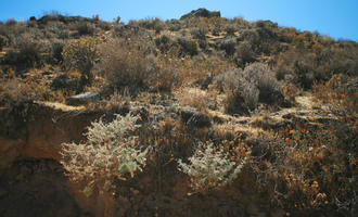 Arequipa, Arequipa, autumn, below, day, natural light, Peru, sunny, vegetation