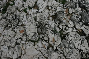 close-up, Croatia, Croatia, day, natural light, rock, stone