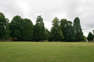 Abingdon, day, England, eye level view, grass, natural light, park, summer, The United Kingdom, tree, treeline