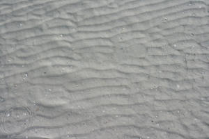 above, beach, day, Florida, sand, Sarasota, sunny, sunshine, The United States, water, winter