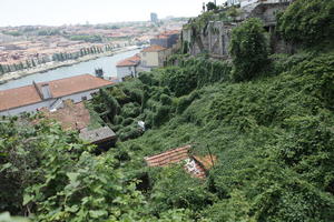 cityscape, day, elevated, greenery, Porto, Porto, Portugal, spring, sunny