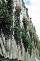 autumn, below, day, fence, France, hanging, Nice, plant, Provence Alpes Cote D