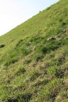 below, day, England, grass, hill, Oxford, sunny, The United Kingdom, vegetation, winter