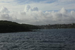 Australia, coastline, dusk, eye level view, New South Wales, seascape, summer, Sydney