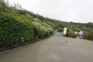 autumn, bush, day, diffuse, diffused light, Eden Project, England, eye level view, garden, hedge, path, shrub, The United Kingdom