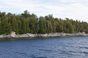 broad-leaf tree, broad-leaved tree, Canada, coniferous, day, diffuse, diffused light, eye level view, natural light, Ontario, seascape, summer, Tobermory, tree, treeline, woodland