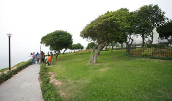 ambient light, autumn, bush, cloudy, day, diffuse, diffused light, eye level view, grass, greenery, group, Lima, Lima, natural light, nature, overcast, park, people, Peru, tree