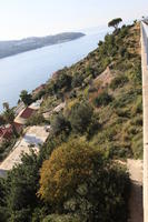 autumn, bright, bush, Croatia, day, Dubrovacko-Neretvanska, Dubrovnik, elevated, hill, natural light, shrubland, sunny, tree