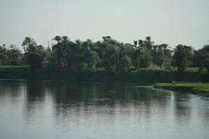 clear, dusk, East Timor, Egypt, Egypt, eye level view, palm, river, river Nile, sky, tree, vegetation