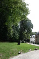 Belgium, Brussels, day, eye level view, grass, natural light, park, summer, tree, vegetation