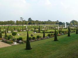 afternoon, day, elevated, England, flower, garden, grass, natural light, park, plant, summer, sunny, The United Kingdom