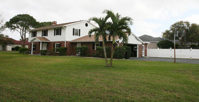 day, eye level view, Florida, grass, house, palm, The United States, winter