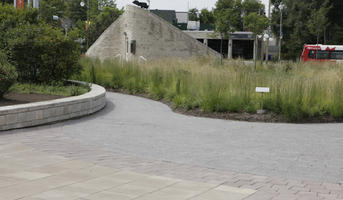 Canada, day, diffuse, diffused light, eye level view, grass, Ontario, Ottawa, pavement, summer