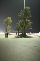 Agadir, arabic, artificial lighting, autumn, back, couple, evening, eye level view, Morocco, palm, path, pavement, tree, vegetation, walking