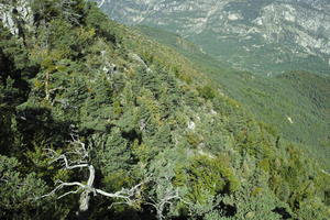 autumn, day, elevated, France, Greolieres, mountain, Provence Alpes Cote D