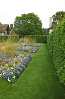 day, England, eye level view, flower, garden, grass, natural light, park, The United Kingdom, Woking