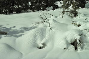 day, eye level view, France, Greolieres, Provence Alpes Cote D