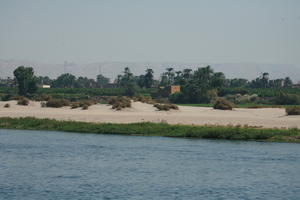 day, East Timor, Egypt, Egypt, eye level view, natural light, palm, river, river Nile, tree, vegetation