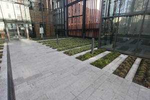 courtyard, day, eye level view, garden, Krakow, Malopolskie, pavement, Poland, sunny, winter