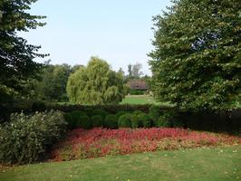 afternoon, bush, day, England, eye level view, flower, garden, natural light, park, plant, summer, sunny, The United Kingdom, tree