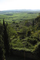 cypress, day, elevated, evergreen, greenery, Italia , Siena, spring, sunny, Toscana, tree, valley