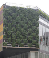 ambient light, building, day, diffuse, diffused light, eye level view, facade, Fukuoka, Fukuoka, hanging, Japan, natural light, overcast, plant, spring