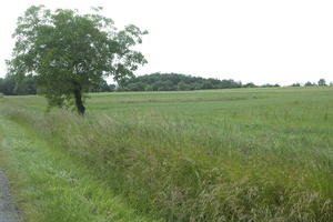 Aquitaine, Bergerac, day, diffuse, diffused light, eye level view, France, grass, grassland, natural light, spring