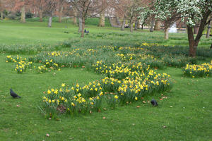 day, England, eye level view, flower, grass, London, park, spring, The United Kingdom