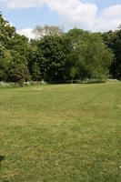 afternoon, Cambridge, day, England, eye level view, grass, lawn, spring, sunny, The United Kingdom, tree, vegetation