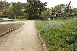 autumn, Barcelona, bush, Cataluña, day, diffuse, diffused light, eye level view, Gaudi Park, park, path, shrub, Spain