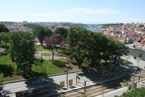 broad-leaf tree, broad-leaved tree, day, elevated, park, Porto, Porto, Portugal, spring, street, sunny, tramlines