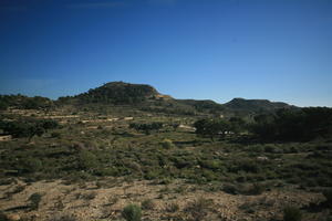 Calpe, day, elevated, greenery, shrubland, Spain, sunny, tree, Valenciana