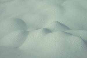 close-up, day, diffuse, diffused light, eye level view, France, Greolieres, Provence Alpes Cote D