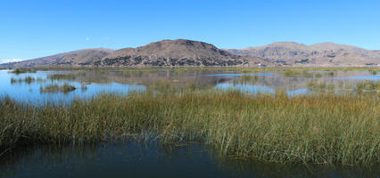 day, eye level view, lake, mountain, Peru, Puno, reed, sunny, winter