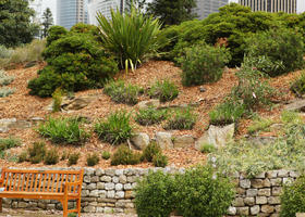 Australia, bench, bush, day, eye level view, natural light, New South Wales, park, summer, Sydney