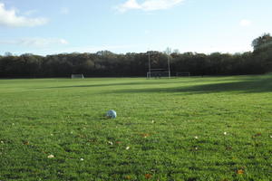 autumn, day, England, eye level view, grass, leaves, London, park, playground, sunny, The United Kingdom, treeline