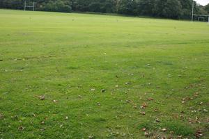 day, England, field, grass, London, lowered, natural light, The United Kingdom, vegetation