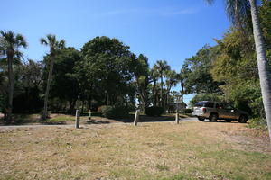 car, day, eye level view, Florida, Miami, natural light, palm, sunny, The United States, tree, tropical, vegetation, winter