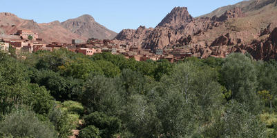 building, day, desert, direct sunlight, eye level view, forest, forest, grove, hill, house, Morocco, natural light, nature, Ouarzazate, outdoor lighting, outdoors, roof, sunlight, sunny, sunshine, town, tree