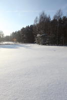 afternoon, bright, coniferous, day, eye level view, field, Poland, snow, sunny, tree, Wielkopolskie, winter, woodland