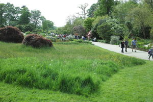 day, England, eye level view, garden, grass, natural light, park, The United Kingdom, Woking