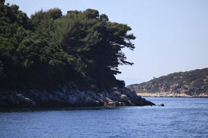 coastline, Croatia, day, eye level view, seascape, summer, tree, vegetation